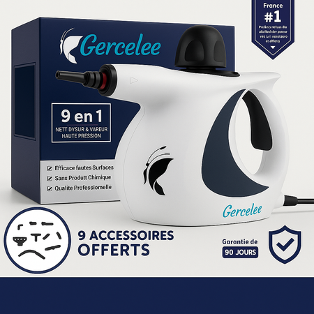 Nettoyeur Vapeur 1001-230V